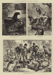 Chasse à la loutre dans le Nord